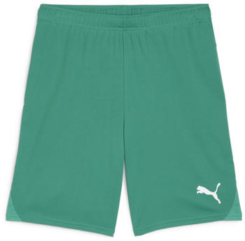 Puma Kinder teamGOAL Shorts Jr (705753) sport green-puma white