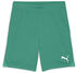 Puma Kinder teamGOAL Shorts Jr (705753)
