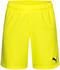 Puma Kinder teamGOAL Shorts Jr (705753)