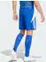 Adidas Tiro 24 Shorts (IR9378) royal blue/white