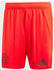 Adidas FC Bayern München 24/25 Heimshorts (IT8513) red