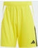 Adidas Tiro 24 Shorts
