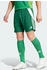 Adidas Tiro 24 Shorts (IS1410) team dark green/white