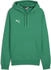 Puma teamGOAL Casuals Hoody grün F05