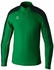 Erima Evo Star Trainingstop Sweatshirt grün