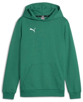 Puma teamGOAL Casuals Hoodie 05 sport green puma white