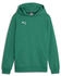 Puma teamGOAL Casuals Hoody Jr (658619)