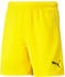 Puma teamRISE Short Kids 55773
