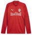 Puma FC Red Bull Salzburg 4-Zip Trainings-Top puma red puma navy