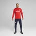 Puma FC Red Bull Salzburg 4-Zip Trainings-Top puma red puma navy