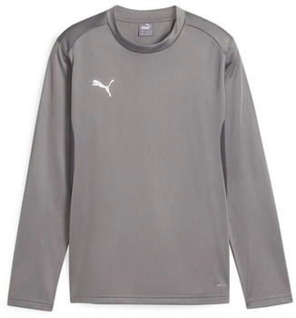 Puma Teamgoal Training Sweat Jr Sweatshirt grau