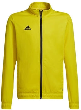 Adidas Entrada Trainingsjacke gelb