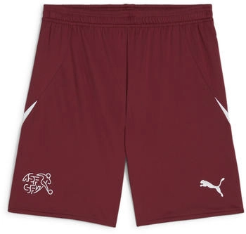 Puma SFV Shorts Replica team regal rot puma rot