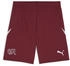 Puma UEFA EURO 2024 Schweiz Shorts