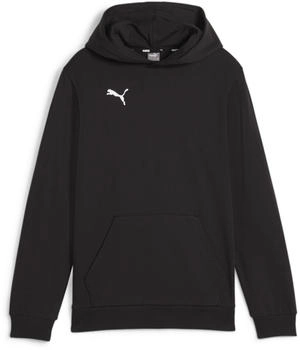 Puma teamGOAL Casuals Hoody Jr 658619-03