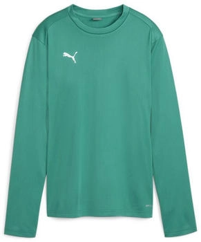 Puma Teamgoal Training Sweat Wmn Sweatshirt grün