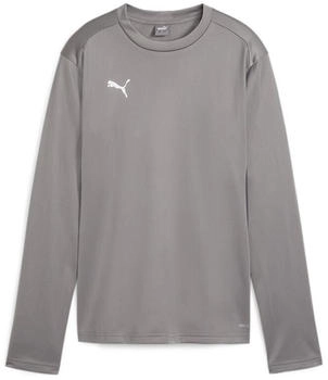 Puma teamGOAL Training Sweat 658652-13 cast iron weiß
