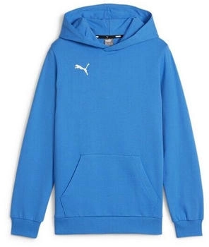 Puma teamGOAL Casuals Hoodie ignite blue puma white