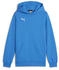 Puma teamGOAL Casuals Hoody Jr (658619)