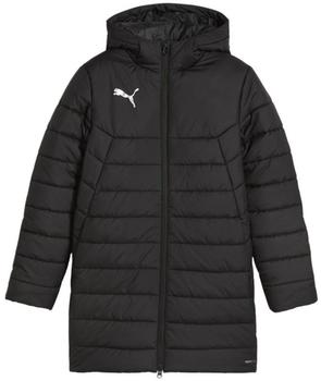 Puma Stadionjacke teamFINAL 658741