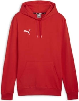 Puma teamGOAL Casuals Hoody rot F01