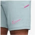 Nike Academy Dri-FIT Shorts blau