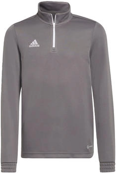 Adidas entrada training oberteil