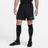 Nike Dry Academy Shorts