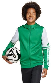 Adidas Squadra Training Hoody Kinder gr&uuml;n wei&szlig;