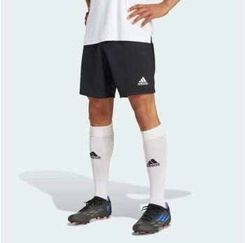 Adidas entrada shorts schwarz