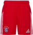 Adidas FC Bayern München Trikot 2025/2026