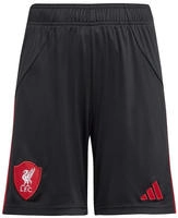 adidas FC Liverpool Ausw&auml;rtsshorts 2025/26 Kinder JV6461 - black 176