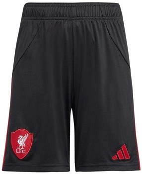 Adidas Liverpool FC 25/26 Auswärtsshorts für Kinder Black (JV6461)