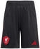 Adidas Liverpool FC 25/26 Auswärtsshorts für Kinder Black (JV6461)