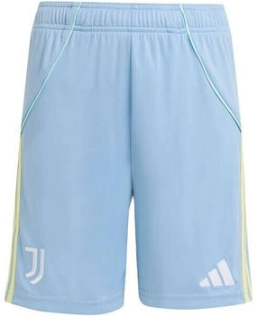 Adidas Auswärtsshorts JN5204 ash blue blau