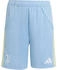 Adidas Auswärtsshorts JN5204 ash blue blau