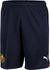 Puma Herren Short teamGOAL 23 Knit Shorts