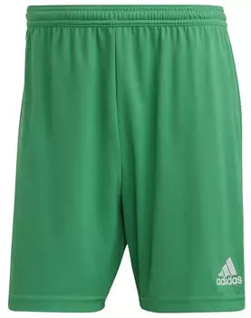 Adidas Herren Entrada 22 Shorts grün