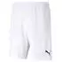 Puma Herren Shorts teamRISE Short