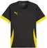 Puma teamGOAL Matchday Trikot Damen