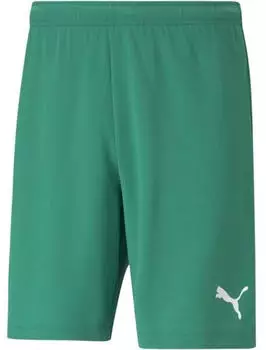 Puma Herren Shorts teamRISE Short (0000000029589883) grün/weiß