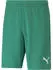 Puma Herren Shorts teamRISE Short