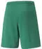 Puma Herren Shorts teamRISE Short (0000000029589883) grün/weiß