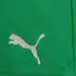 Puma Herren Shorts teamRISE Short (0000000029589883) grün/weiß