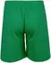 Puma Herren Shorts teamRISE Short (0000000029589883) grün/weiß