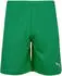 Puma Herren Shorts teamRISE Short (0000000029589883) grün/weiß