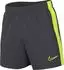 Nike Dry Academy Shorts