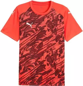 Puma teamFINAL Trikot rot