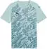 Puma teamFINAL Trikot