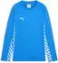 Puma Kinder teamLIGA Training Sweat Jr (657239)